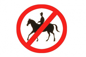hesteforbud